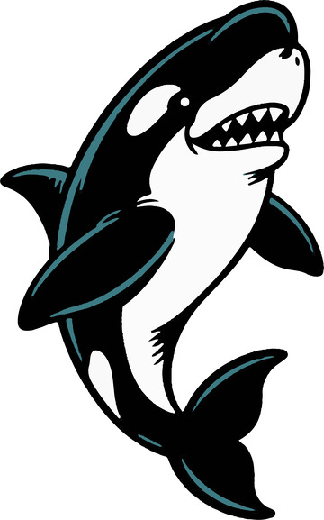 可爱顽皮的虎鲸1