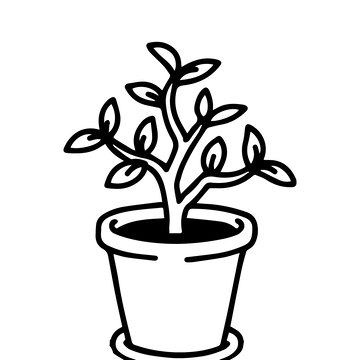 树苗植物盆栽黑白线稿