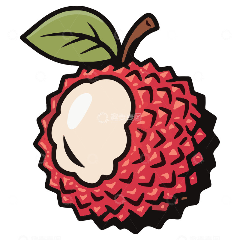 源文件下载【趣麦麦图】剥开的荔枝水果插画