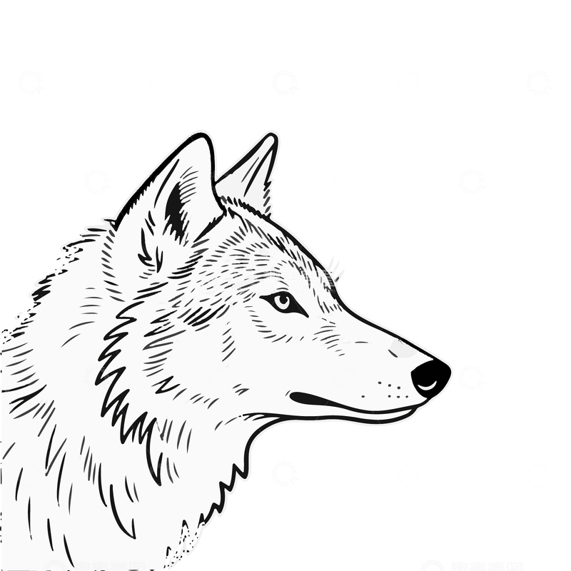 源文件下载【趣麦麦图】黑白线稿野狼