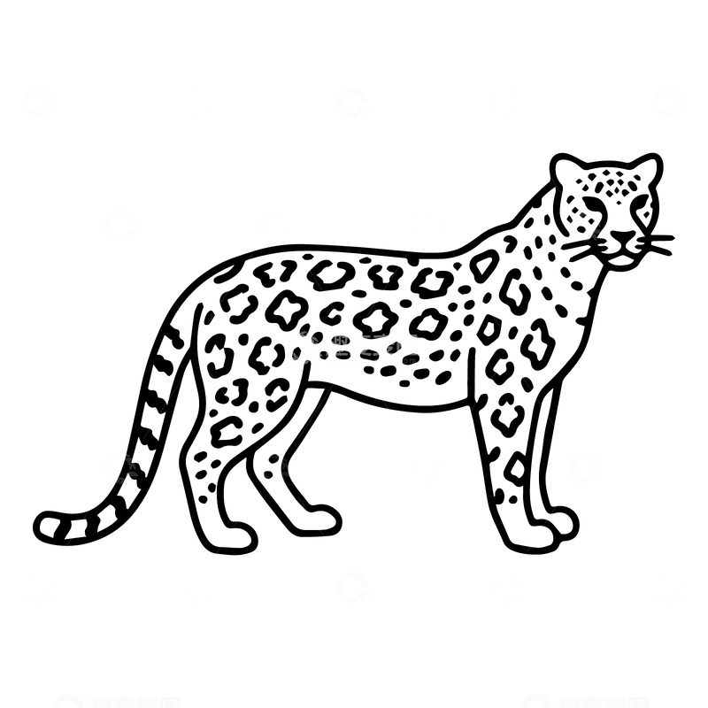 源文件下载【趣麦麦图】黑白线稿野生花豹