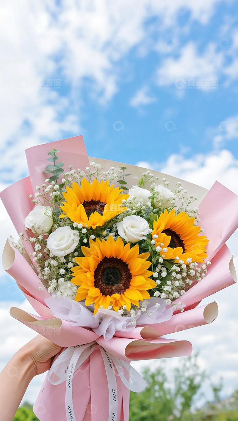 高清大图下载【趣麦麦图】毕业季的花束