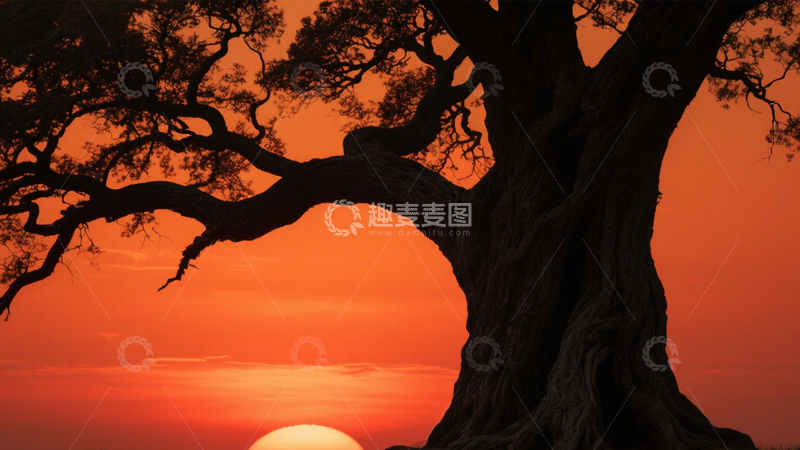 高清大图下载【趣麦麦图】孤树落日剪影静谧景2