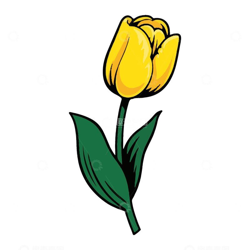 源文件下载【趣麦麦图】-手绘简单插画黄色郁金香