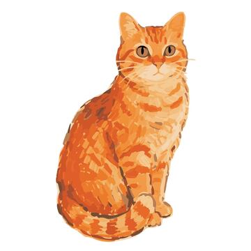 颜料色块画风手绘可爱橘猫