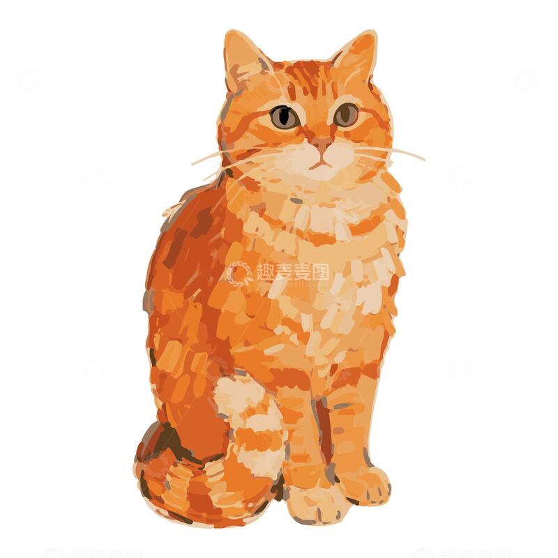 颜料色块画风手绘橘猫写实