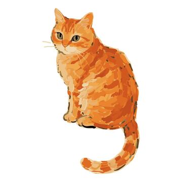 可爱颜料色块画风手绘橘猫