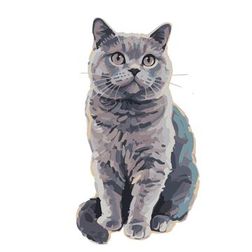 颜料色块画风手绘可爱蓝猫