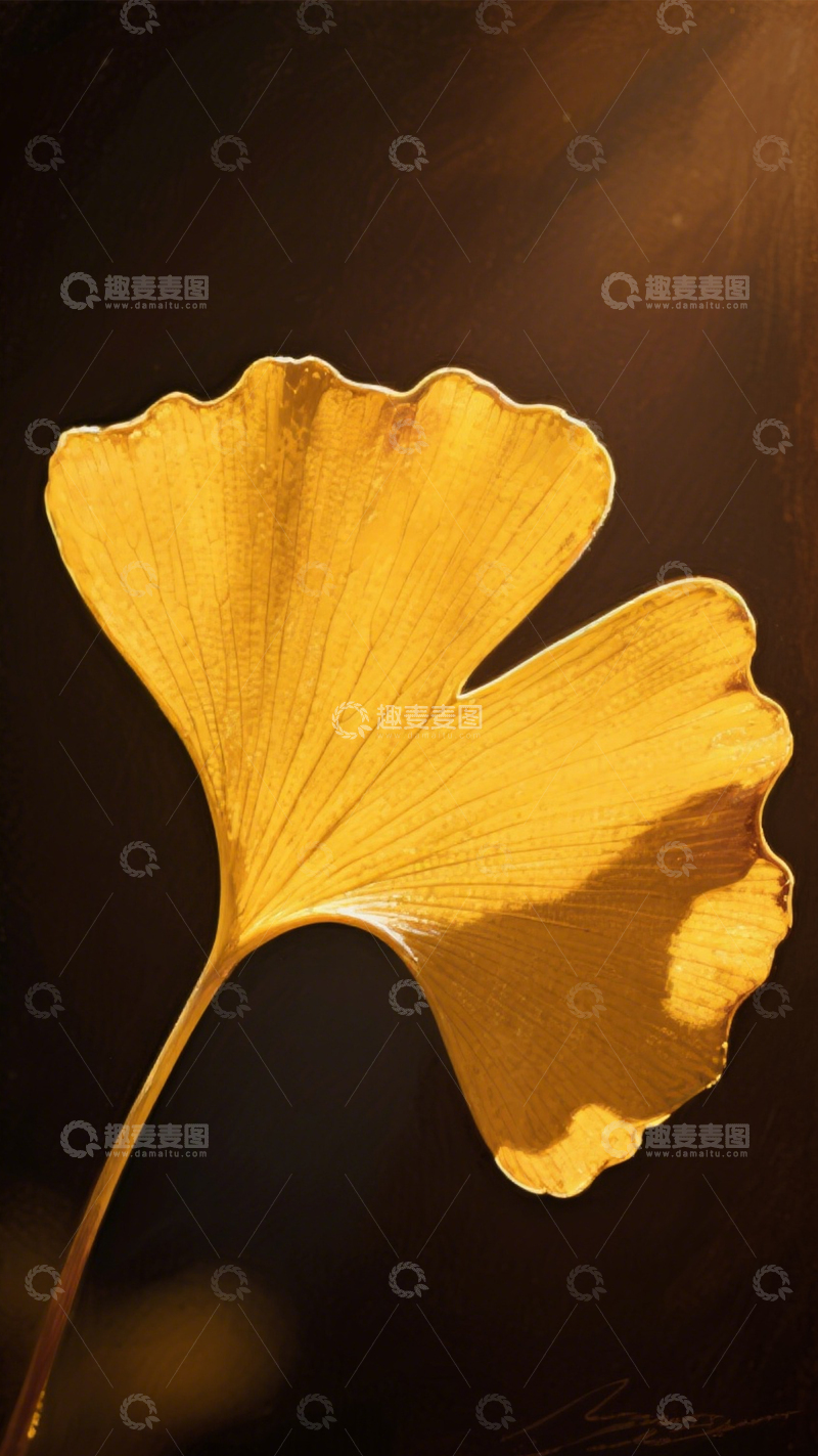 高清大图下载【趣麦麦图】银杏叶金黄扇形之美1
