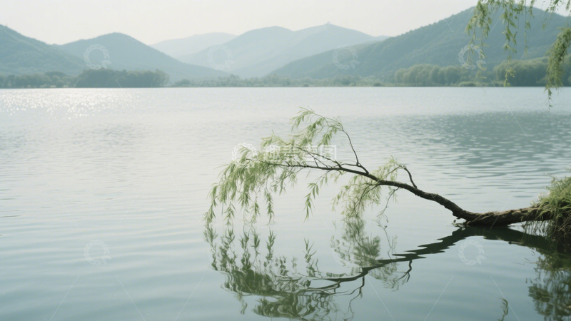 高清大图下载【趣麦麦图】落日海滩椰树橙红美1