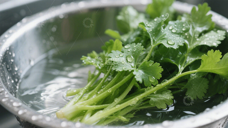 高清大图下载【趣麦麦图】-鲜嫩翠绿香菜2
