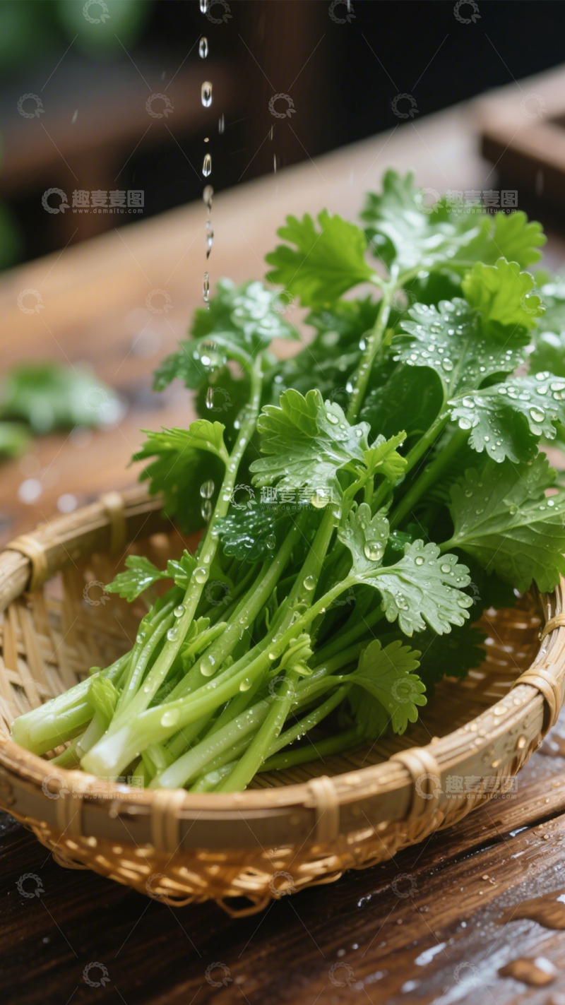 高清大图下载【趣麦麦图】-鲜嫩翠绿香菜4