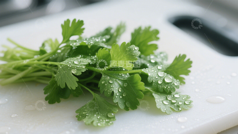 高清大图下载【趣麦麦图】-鲜嫩翠绿香菜1