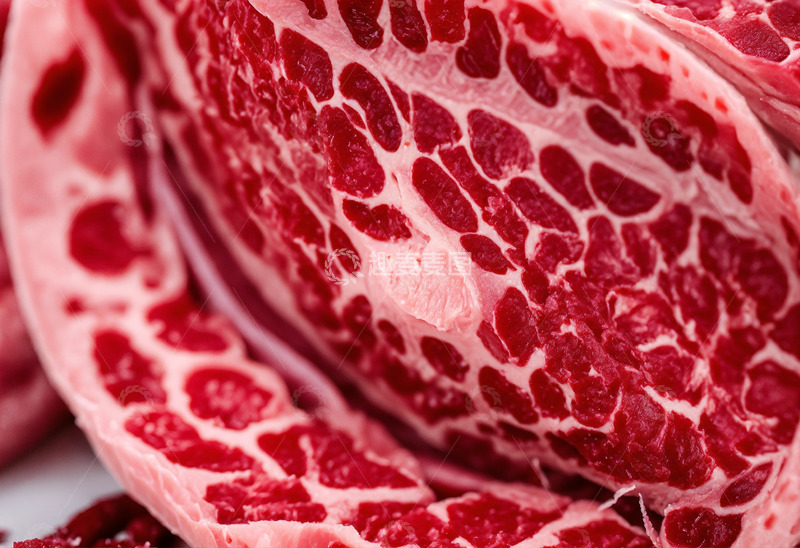 高清大图下载【趣麦麦图】生肉横切面毛细血管输送养分AI插画素材3