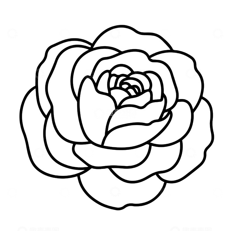 花朵线稿矢量素材
