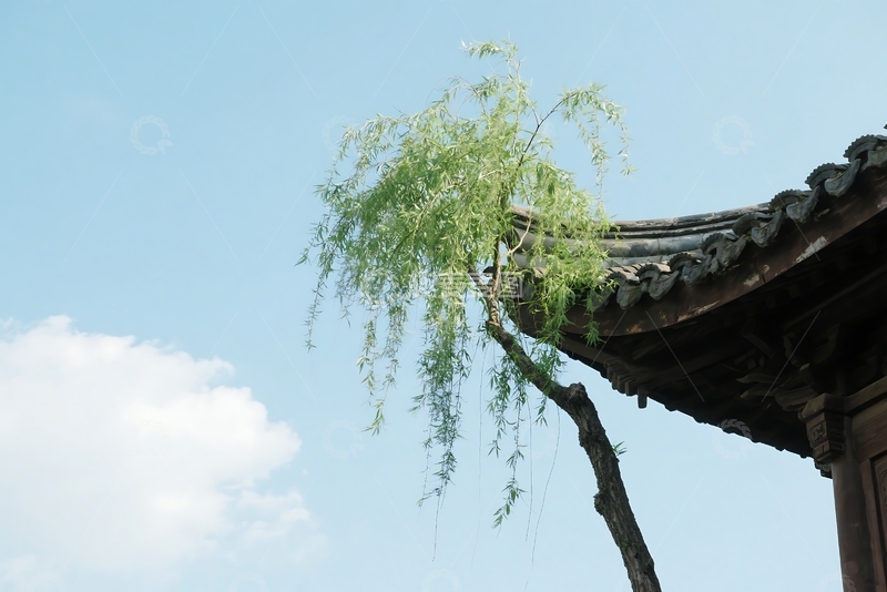 高清大图下载【趣麦麦图】春天,柳树,古建筑屋檐,园林景观 