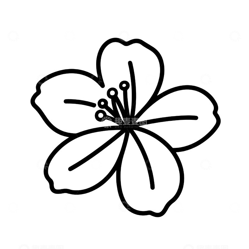 源文件下载【趣麦麦图】花朵线稿矢量素材2