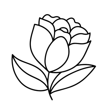 花朵线稿矢量素材1