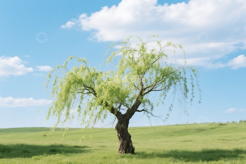 高清大图下载【趣麦麦图】春天，绿色，风景画 