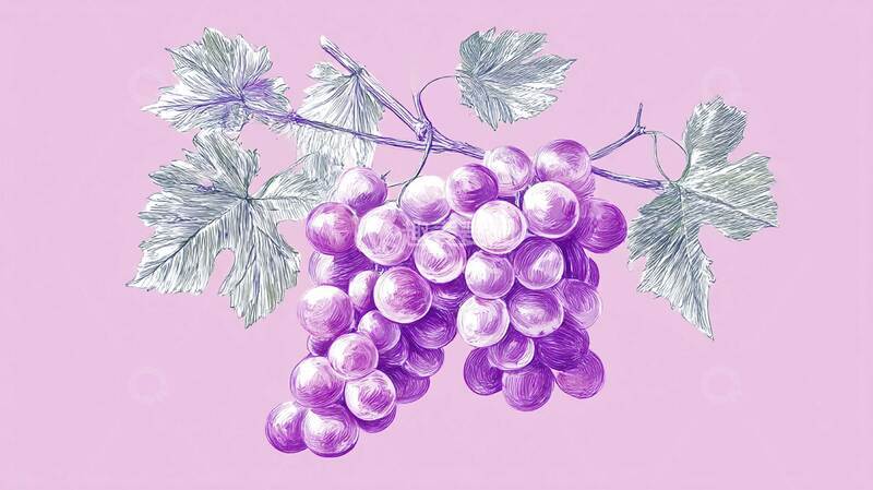 高清大图下载【趣麦麦图】紫葡萄  水果  夏季  1