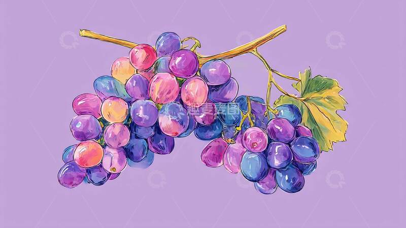 高清大图下载【趣麦麦图】紫葡萄  水果  夏季  3