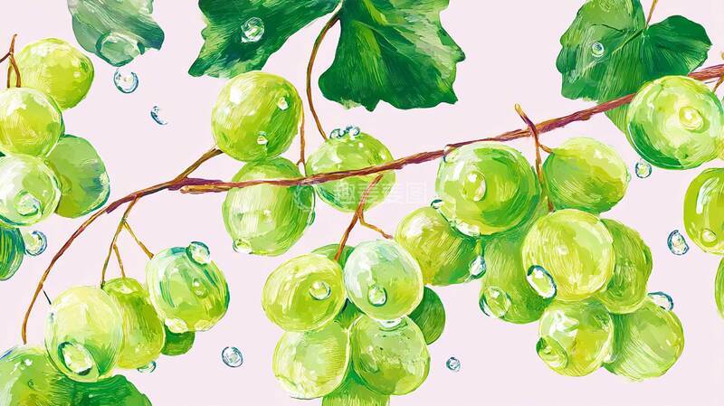 高清大图下载【趣麦麦图】绿水珠葡萄  水果  夏季8