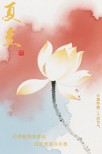 夏至荷花海报1
