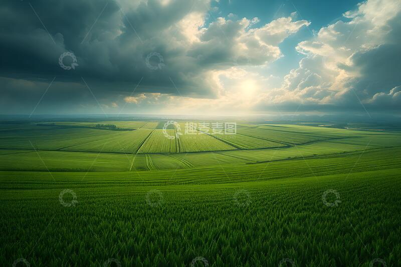 高清大图下载【趣麦麦图】绿色的田野 (