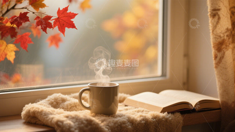 高清大图下载【趣麦麦图】静谧秋日阅读窗台2