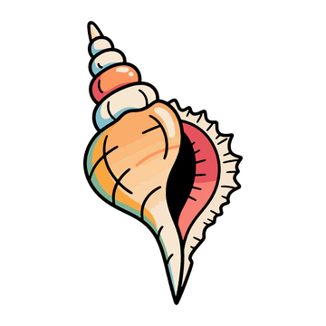 漂亮的海螺贝壳