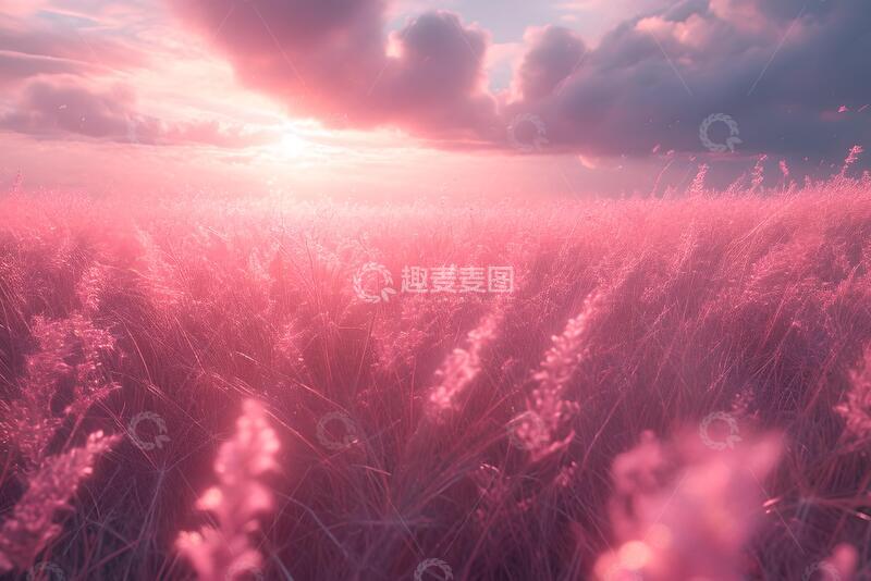 高清大图下载【趣麦麦图】粉色创意场景1