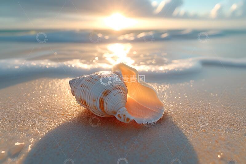 高清大图下载【趣麦麦图】高角度拍摄沙滩上的贝壳1