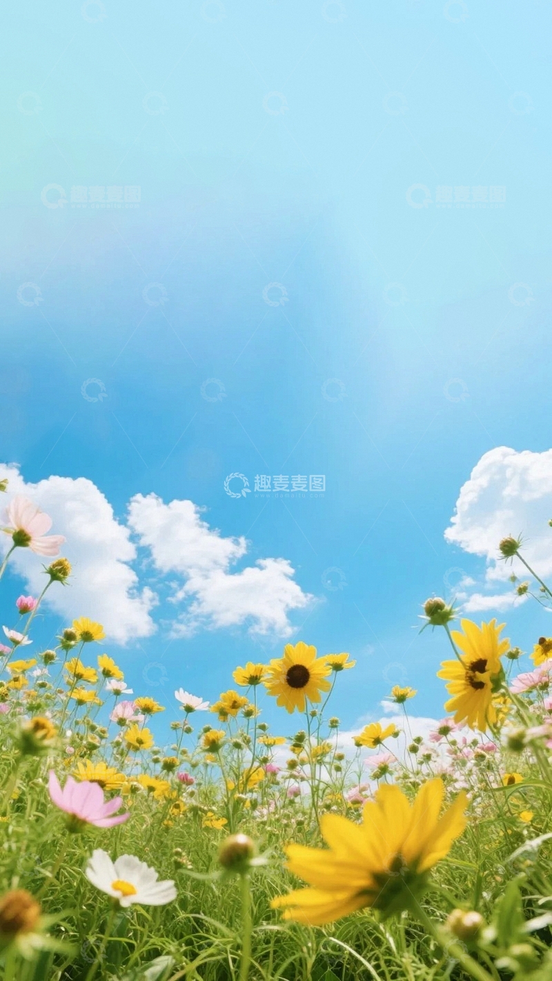 高清大图下载【趣麦麦图】植物花草背景6