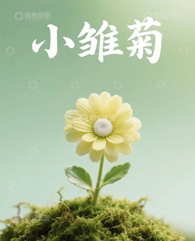 高清大图下载【趣麦麦图】植物花草背景7