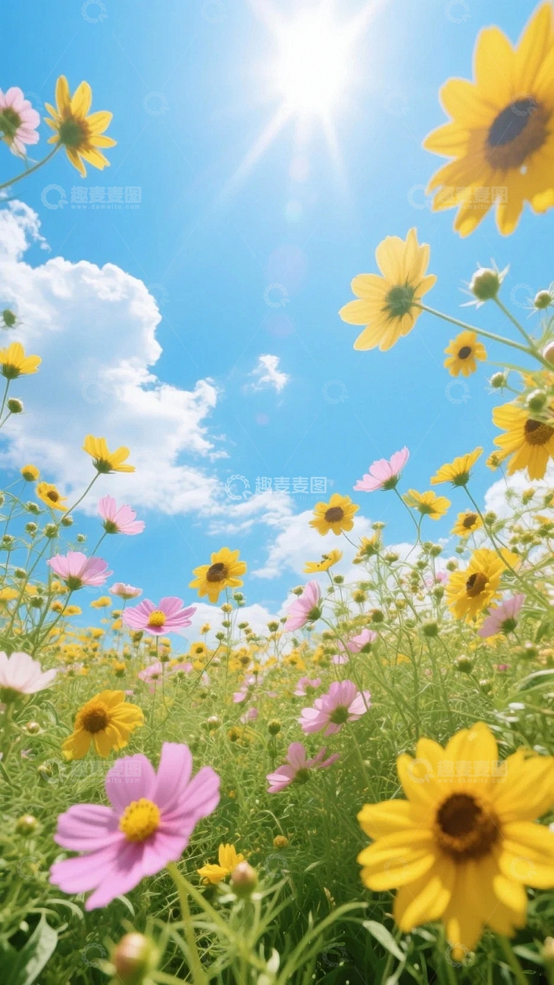 高清大图下载【趣麦麦图】植物花草背景8