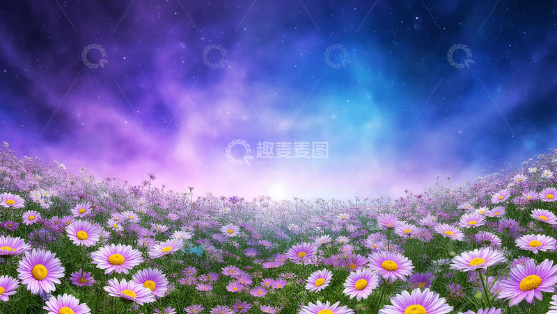 高清大图下载【趣麦麦图】蓝紫星空花海