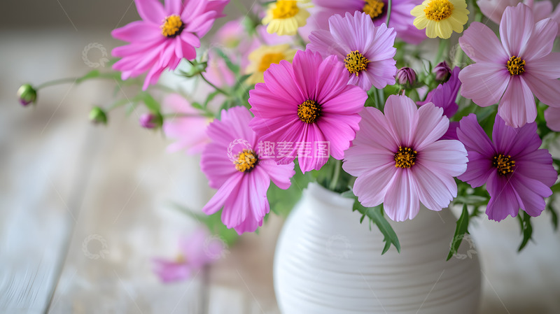 高清大图下载【趣麦麦图】-白色陶瓷花瓶里的粉色雏菊1