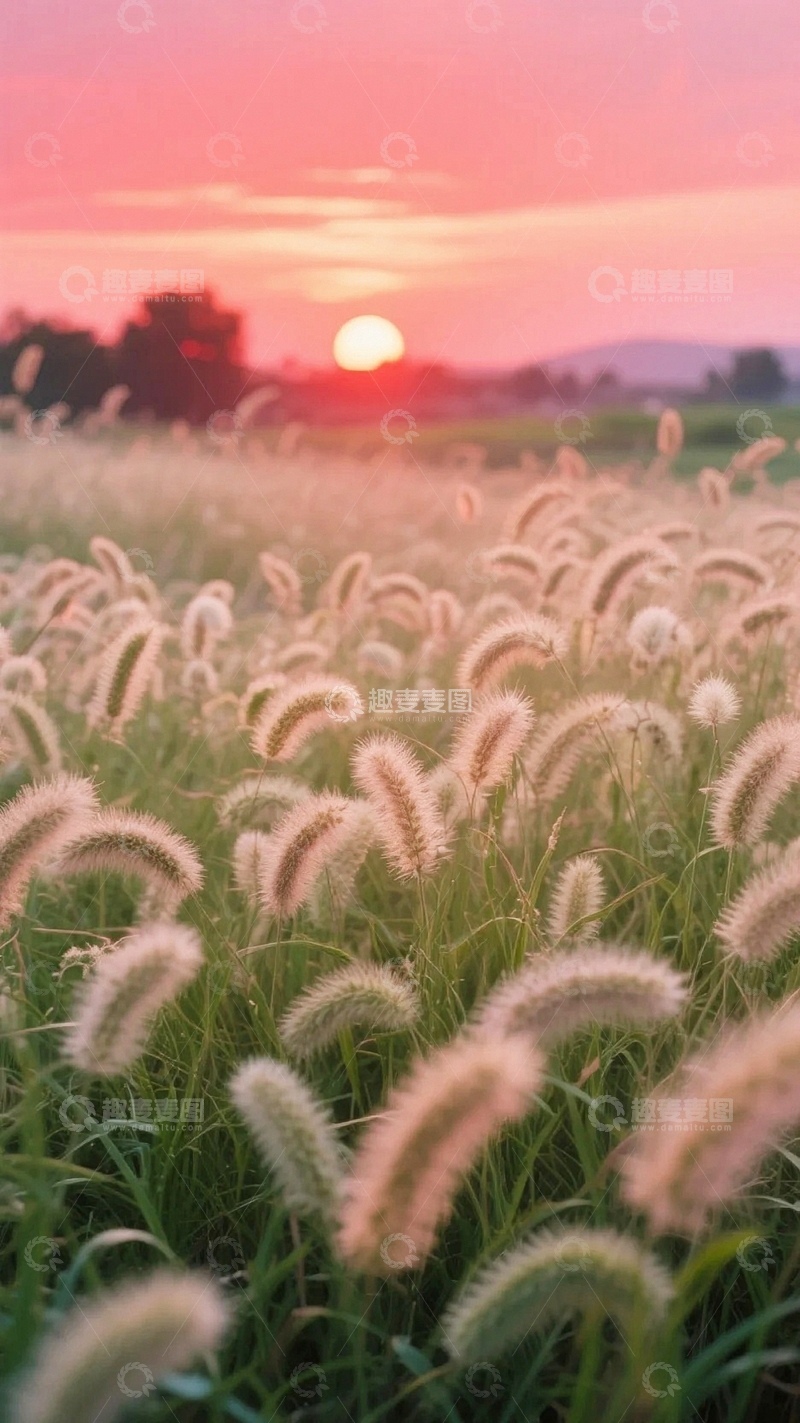 高清大图下载【趣麦麦图】唯美自然风景3