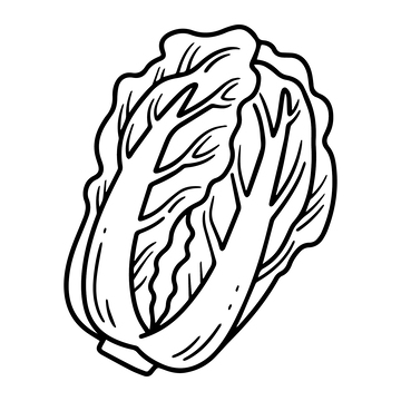 钢笔黑白线稿大白菜