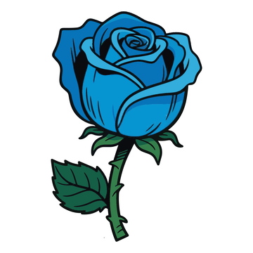 蓝玫瑰手绘插画