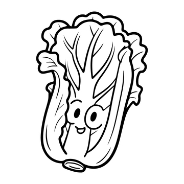 钢笔黑白线稿大白菜1