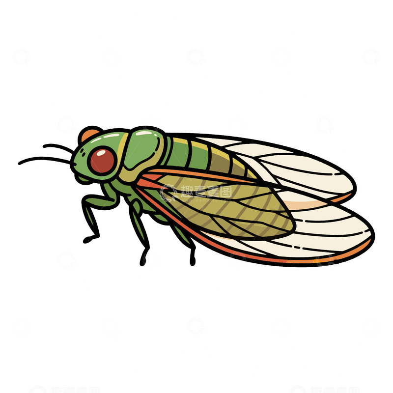 源文件下载【趣麦麦图】-儿童简笔画昆虫夏蝉1