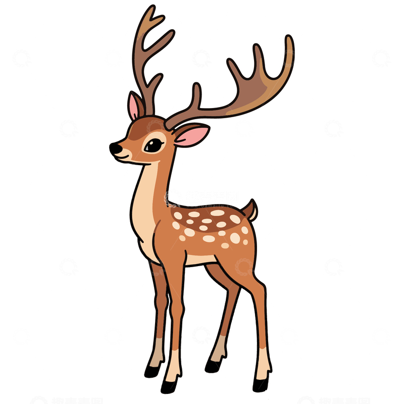 手绘插画梅花鹿