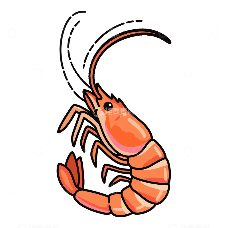 源文件下载【趣麦麦图】手绘插画大虾