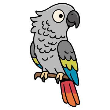 手绘插画非洲灰鹦鹉