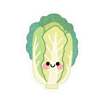 大白菜手绘插画