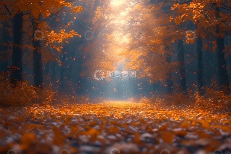 高清大图下载【趣麦麦图】秋天素材素材1