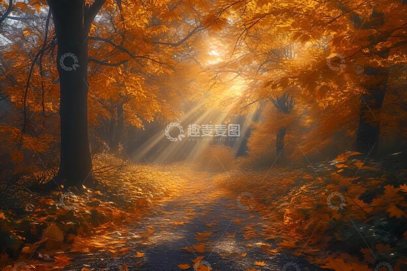 高清大图下载【趣麦麦图】秋天素材素材2