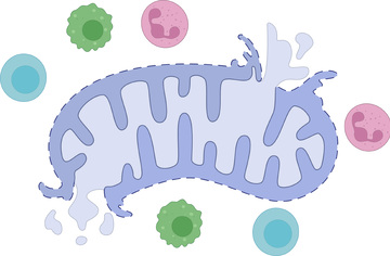 生物论文插图矢量图