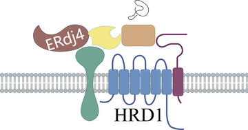 生物论文插图矢量图1